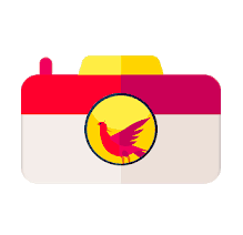Phoenix Camera Apk v4