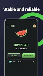 Screenshot Melon VPN Mod APK
