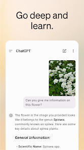 Screenshot ChatGPT Mod APK