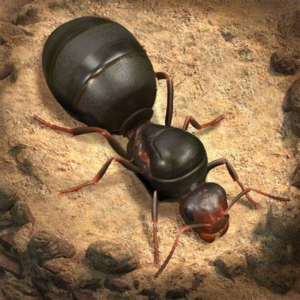 The Ants Underground Kingdom Mod Apk v3.83.0 (Unlimited Money and Gems) Latest 2025
