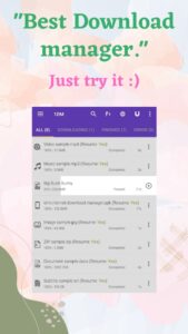 Screenshot 1DM Browser & Video Download Mod APK