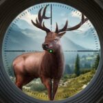 Download Trophy Hunter – Casual Hunting Mod Apk v1.5.0 (No Ads) Terbaru 2024