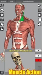 Screenshot 3D Anatomy Mod APK