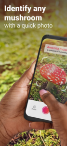 Screenshot Picture Mushroom - Mushroom ID Mod APK