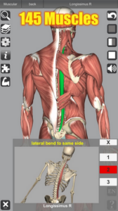 Screenshot 3D Anatomy Mod APK