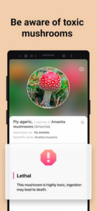 Screenshot Picture Mushroom - Mushroom ID Mod APK