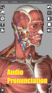 Screenshot 3D Anatomy Mod APK