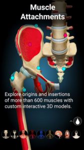 Screenshot Anatomy Learning - 3D Anatomy Mod APK