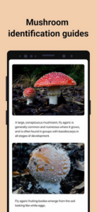 Screenshot Picture Mushroom - Mushroom ID Mod APK