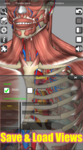 Screenshot 3D Anatomy Mod APK