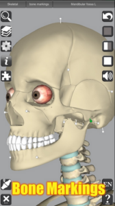 Screenshot 3D Anatomy Mod APK