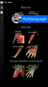 Screenshot Anatomy Learning - 3D Anatomy Mod APK