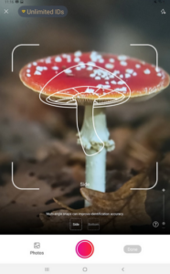 Screenshot Picture Mushroom - Mushroom ID Mod APK