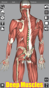 Screenshot 3D Anatomy Mod APK