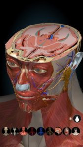 Screenshot Anatomy Learning - 3D Anatomy Mod APK