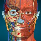 Download Anatomy Learning – 3D Anatomy Mod Apk v2.1.425 (Full version Unlocked) Terbaru 2024