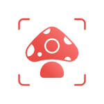 Download Picture Mushroom – Mushroom ID Mod Apk v2.9.29 (Premium Unlocked) Terbaru 2024