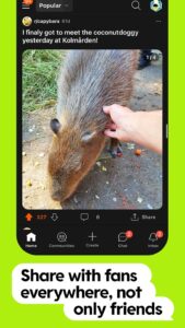 Screenshot Reddit Mod APK