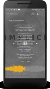 Screenshot Music Player Mezzo Mod APK