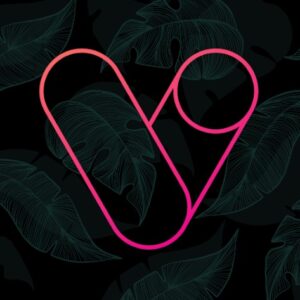 Download Vera Icon Pack Mod Apk v6.2.2 (PAID, Patched) Terbaru 2024