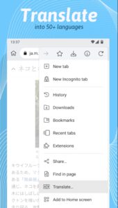 Screenshot Kiwi Browser Mod APK