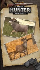 Screenshot Animal Hunter : Wild Sniper Mod APK