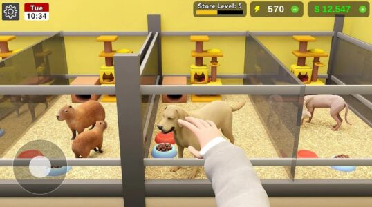 Screenshot Pet Shop Manager Simulation Mod APK