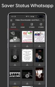 Screenshot Video Downloader and Stories Mod APK