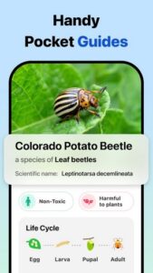 Screenshot Picture Insect Mod APK