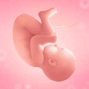 Download Pregnancy Tracker week by week Mod Apk v3.135.1 (Gold Unlocked) Latest 2025