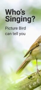 Screenshot Picture Bird - Bird Identifier Mod APK