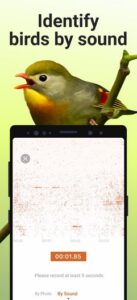 Screenshot Picture Bird - Bird Identifier Mod APK