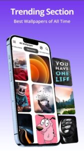 Screenshot 4K Wallpaper Live Wallpapers Mod APK