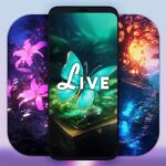 Download Live Wallpapers, 4K Wallpapers Mod Apk v4.2.2 (Premium Unlocked) Terbaru 2025