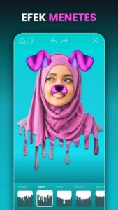 Screenshot Photo Editor Picsa Mod APK