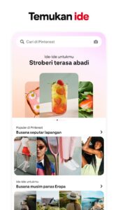 Screenshot Pinterest Mod APK