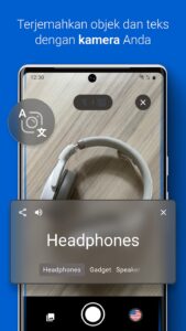 Screenshot iTranslate Translator Mod APK