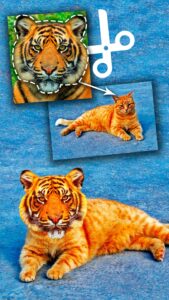 Screenshot Cut Paste Photo Seamless Edit Mod APK