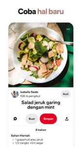 Screenshot Pinterest Mod APK