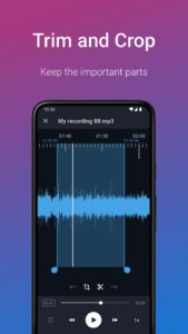 Screenshot Easy Voice Recorder Pro Mod APK