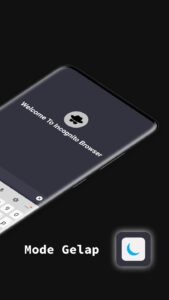 Screenshot Incognito Browser Mod APK