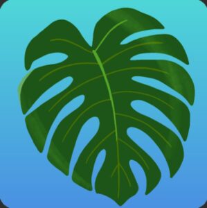 Download Plant Therapy NYC Mod Apk v250312.13 (Unlimited Coins) Latest 2025