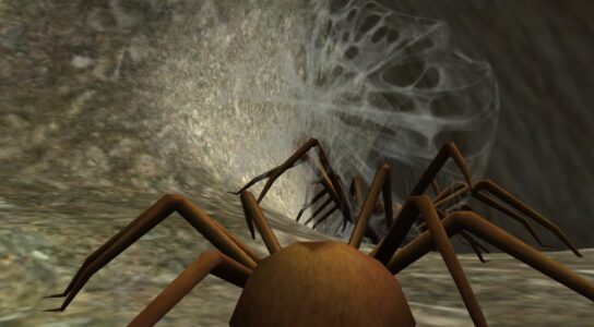 Screenshot Spider Nest Simulator - insect Mod APK