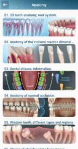 Screenshot Dental 3D Illustrations Mod APK