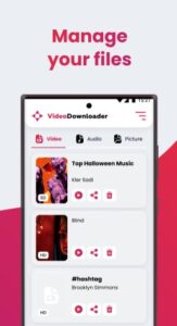 Screenshot SSSTIK Video Downloader Lite Mod APK