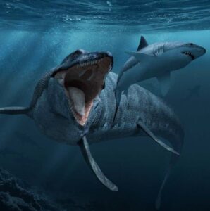 Download Mosasaurus Dino Simulator Mod Apk v1.2.2 (Unlimited Coins) Latest 2025