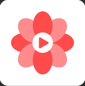 Download Touch Shorts – Short Drama Mod Apk v1.4.0 (VIP Unlocked) Latest 2025