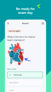 Screenshot Quizlet: AI-powered Flashcards Mod APK