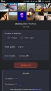 Screenshot Pin Board Downloader Mod APK