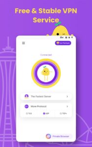 Screenshot PotatoVPN Mod APK